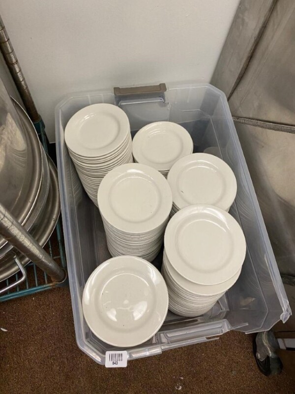 Box of white plates