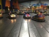 Majestic Bumper Cars Ride - 6