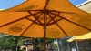 Patio Umbrella - 4