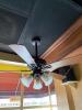 Fan Lighting Fixtures - 2