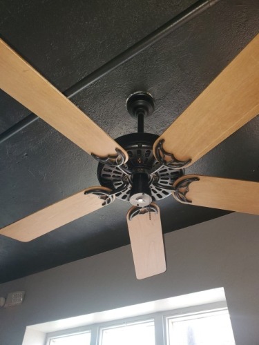 2 Ceiling Fans