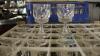 (360) 5" Crystal Style Wine Glasses - 5