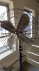 Standing Fans - 2