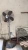 Standing Fans - 3