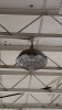 20 Ceiling Guarded Light Fixtures - 5