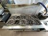 10 Burner SunFire Gas Stove/Double Oven on wheels - 2