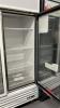 NEW Freezer Merchandiser - 6