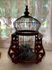 Decorative Bird Cage