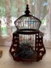 Decorative Bird Cage - 2