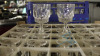 (50) 5" Crystal Style Wine Glasses - 5