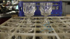 (50) 5" Crystal Style Wine Glasses - 2