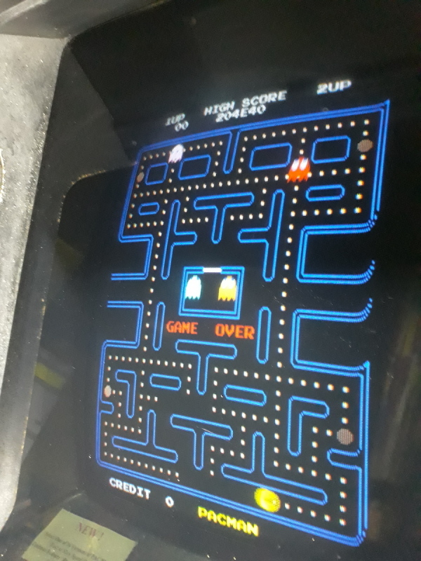 Special Ms Pac Man Video Game