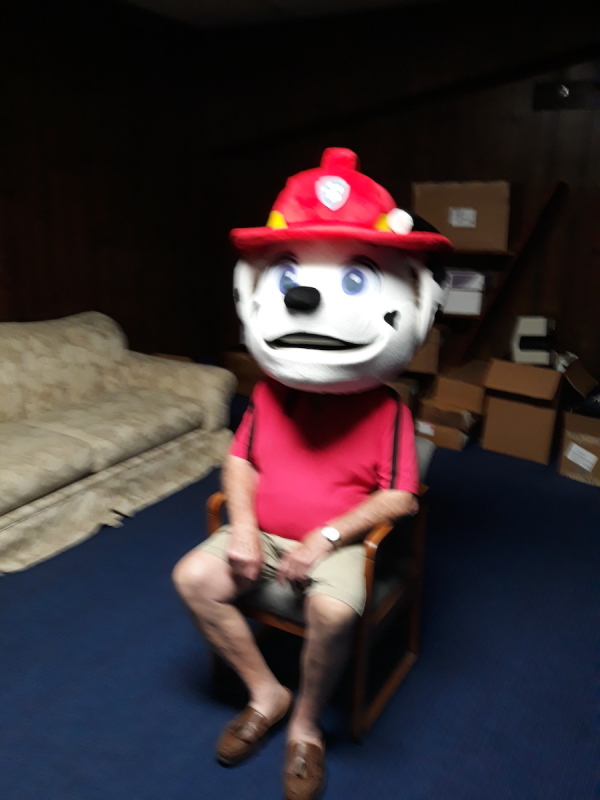 Dog Character Costume