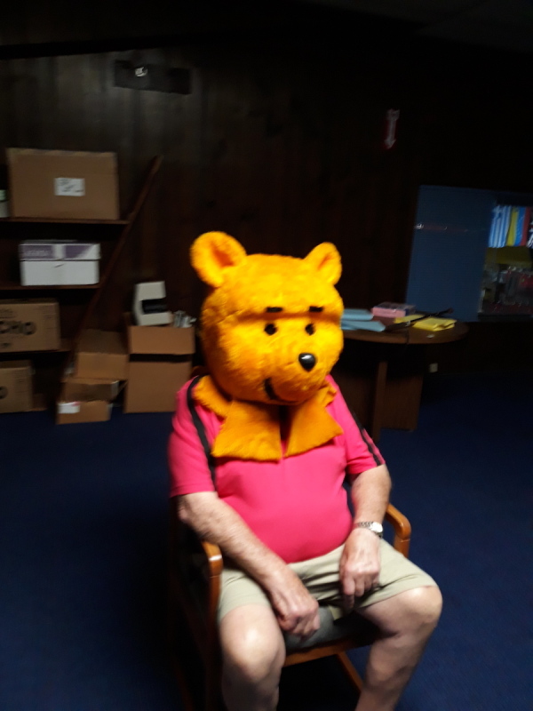 Bear Character Costume