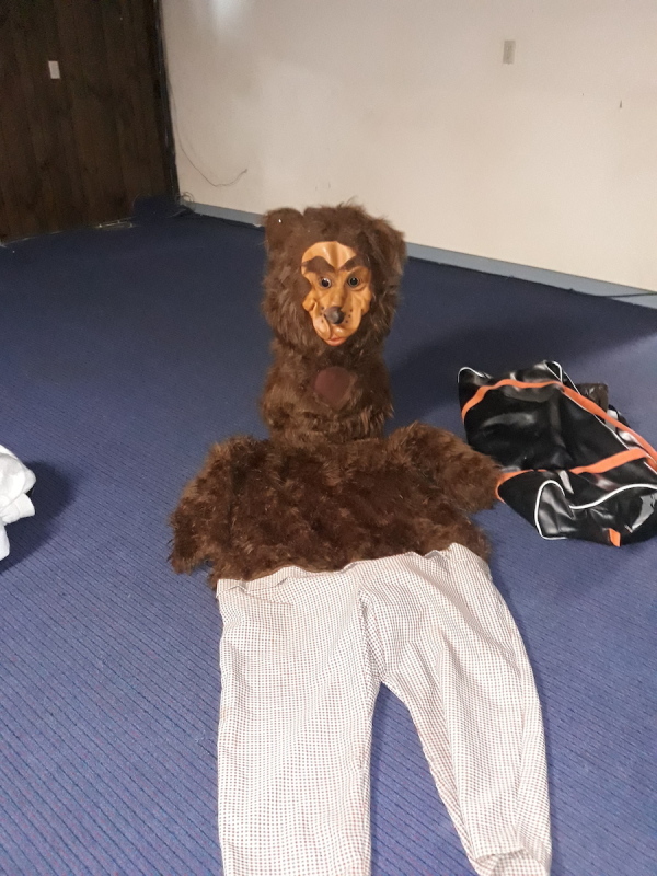 Bear Character Costume