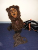 Bear Character Costume - 4