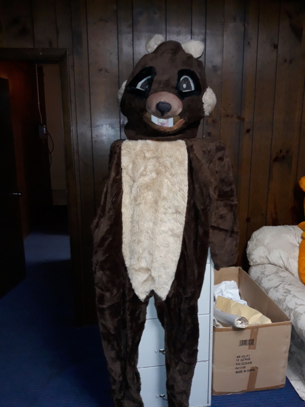 Chipmunk Character Costume