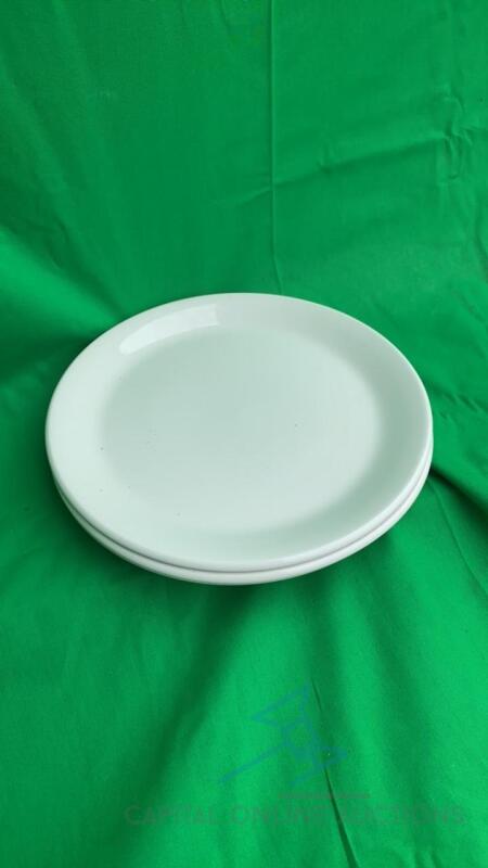 80 Dining Plates