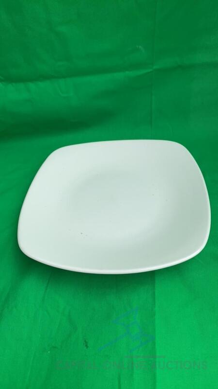 13 dining plates