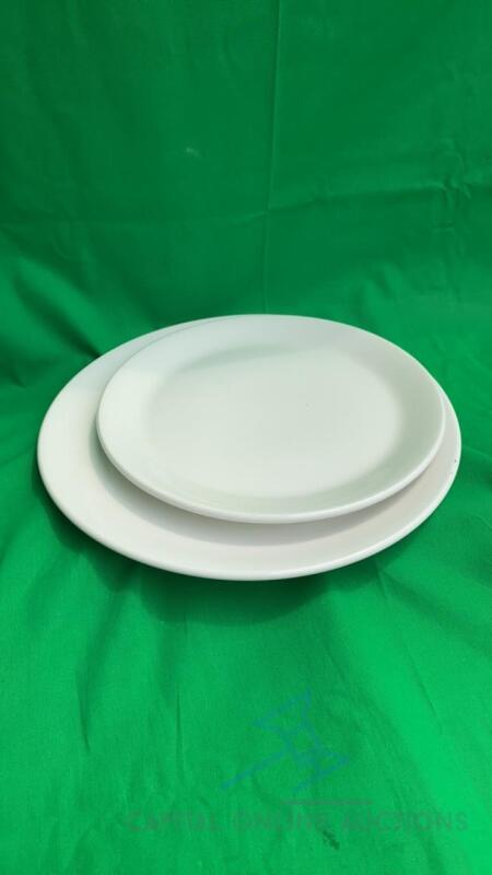 Large and Medium Dining Plates