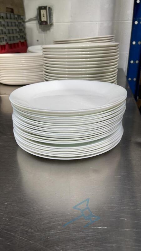 (62) Melamine Dinner Plates