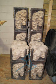 Skull Columns