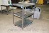 Stainless Steel Rolling Cart - 2