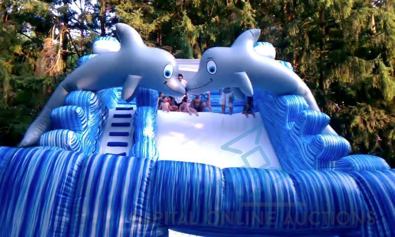 Giant Dolphin Splash Water Slide