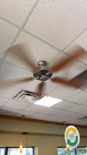 (3) Ceiling Fans