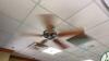 (3) Ceiling Fans - 3