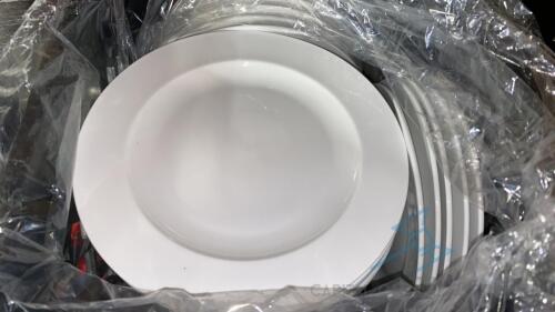 (150) 8" Plates