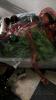 Lot of Assorted Christmas Decorations - 3