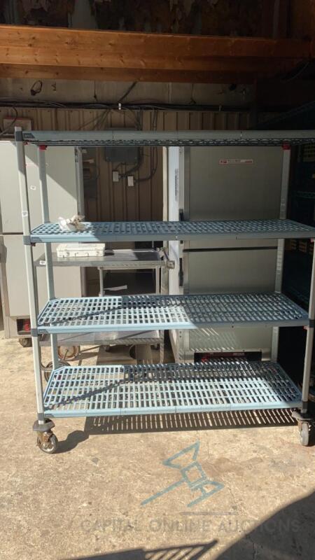 Wire Shelving Unit on Wheels